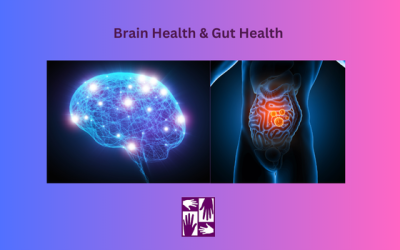 The Connection Between Brain Health & Gut Health in Older Adults